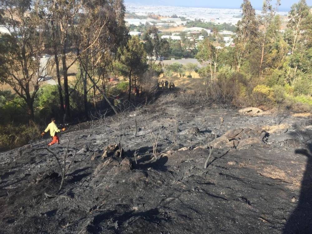 Anamur’da tarımsal alandaki yangın ormana 100 metre kala söndürüldü
