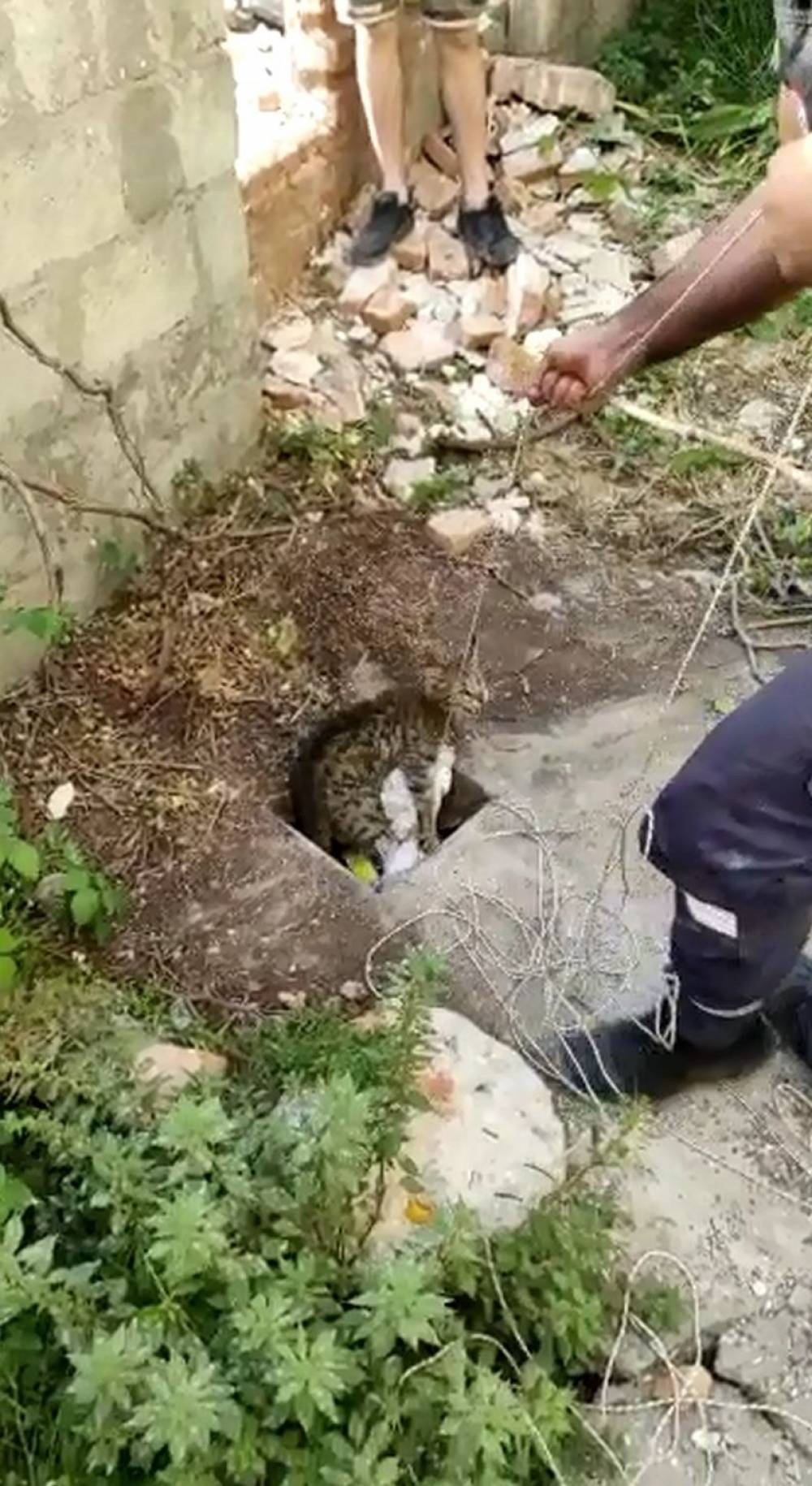 20 metrelik kuyuya düşen kediyi itfaiye ekipleri kurtardı
