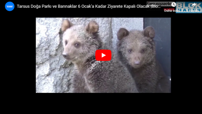 Tarsus Doğa Parkı ve Barınaklar 6 Ocak’a Kadar Ziyarete Kapalı Olacak