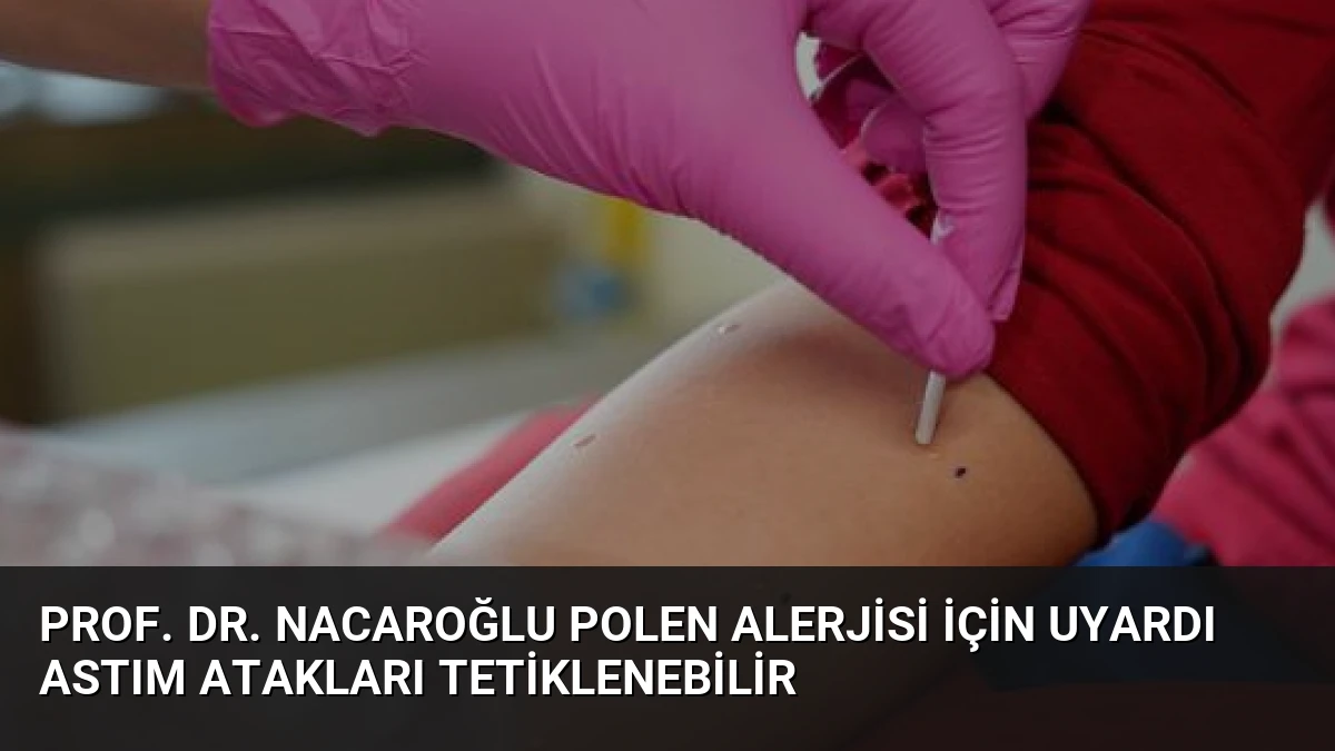Prof. Dr. Nacaroğlu Polen Alerjisi İçin Uyardı Astım Atakları Tetiklenebilir
