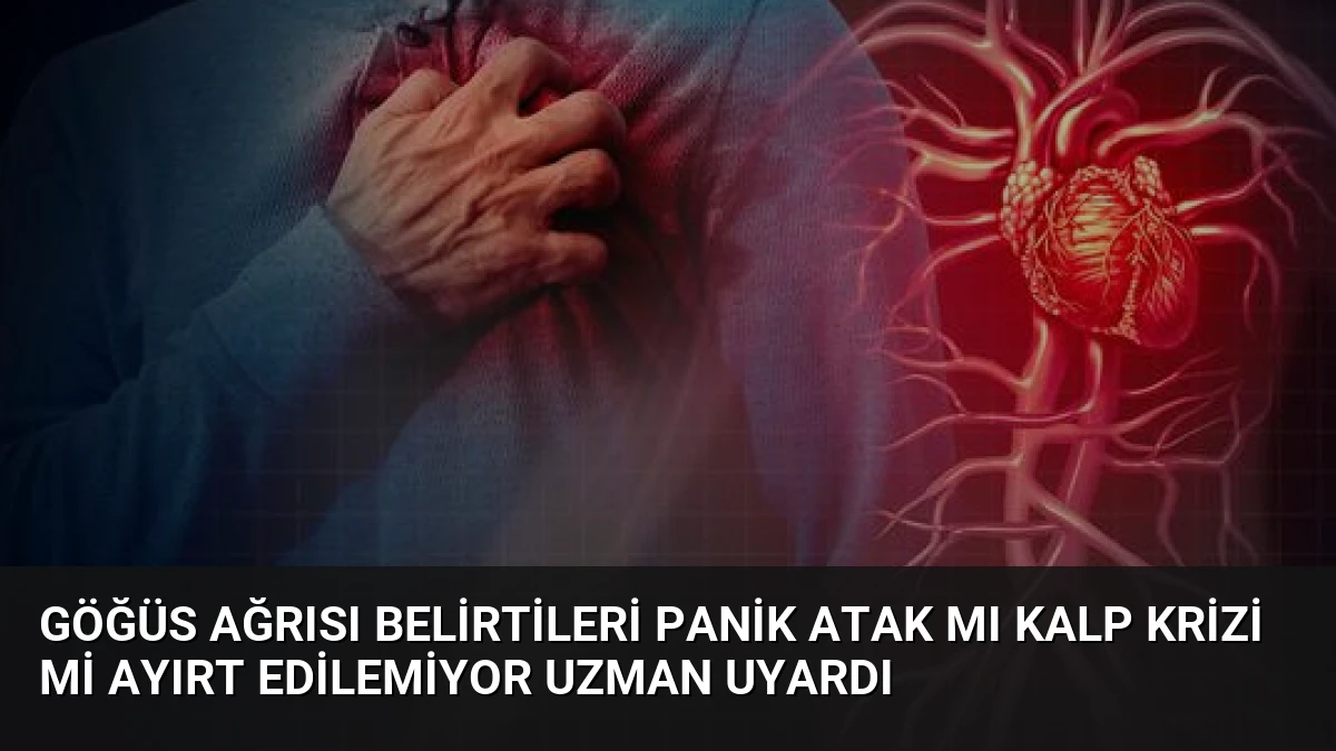 Göğüs Ağrısı Belirtileri Panik Atak mı Kalp Krizi mi Ayırt Edilemiyor Uzman Uyardı