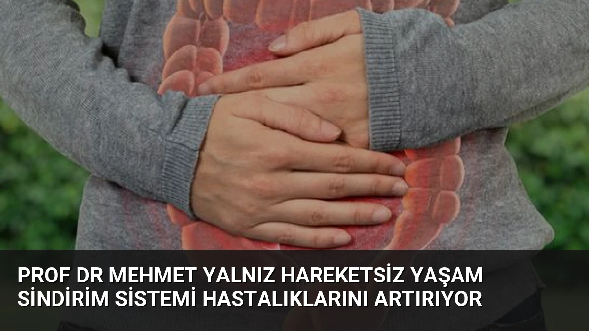 Prof Dr Mehmet Yalnız Hareketsiz Yaşam Sindirim Sistemi Hastalıklarını Artırıyor
