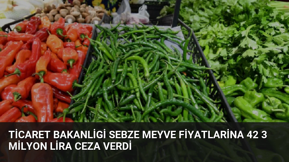 Ticaret Bakanligi Sebze Meyve Fiyatlarina 42 3 Milyon Lira Ceza Verdi