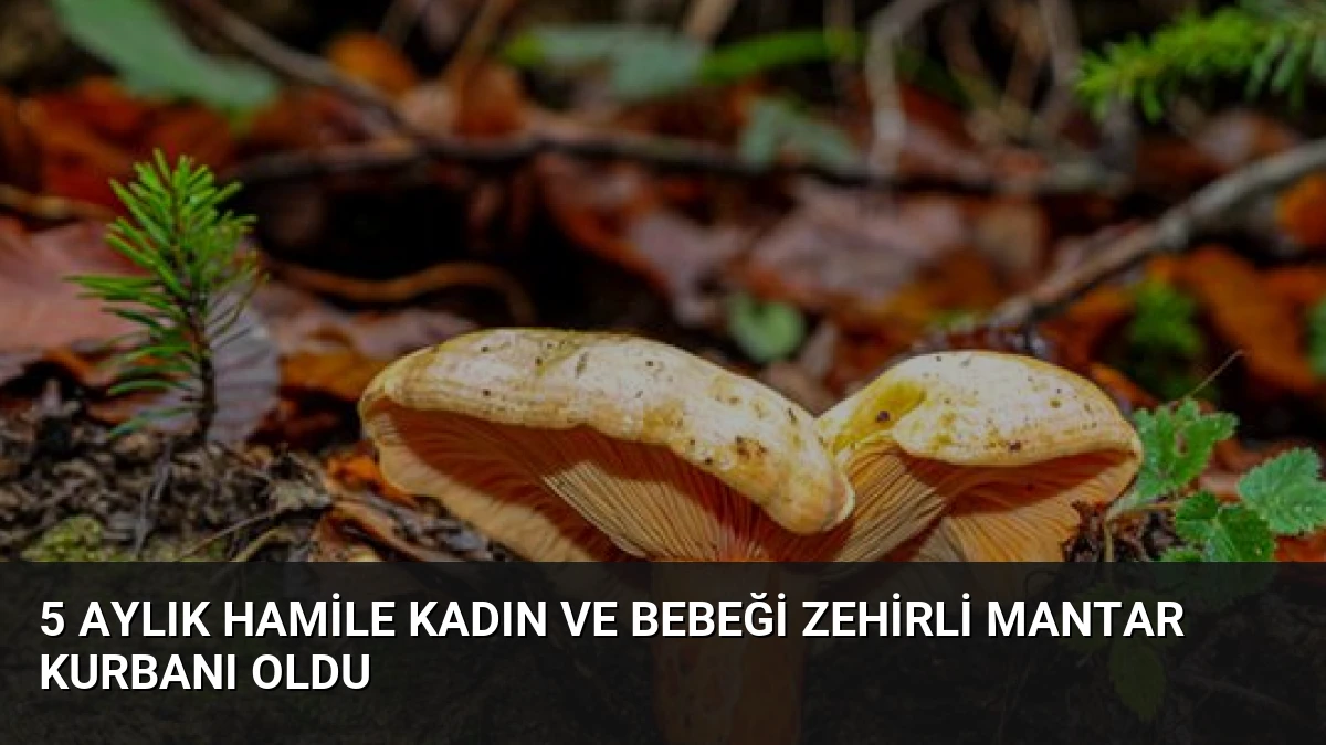 5 Aylık Hamile Kadın ve Bebeği Zehirli Mantar Kurbanı Oldu