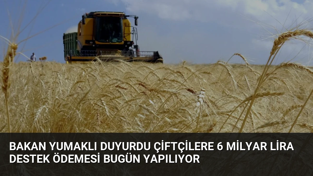 Bakan Yumaklı Duyurdu Çiftçilere 6 Milyar Lira Destek Ödemesi Bugün Yapılıyor