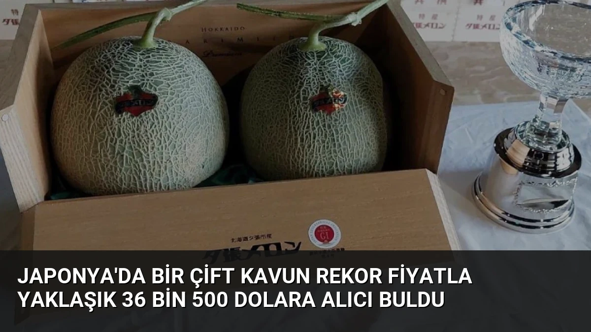 Japonya’da Bir Çift Kavun Rekor Fiyatla Yaklaşık 36 Bin 500 Dolara Alıcı Buldu
