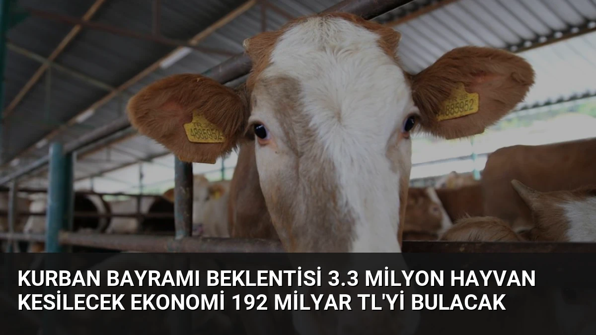Kurban Bayramı Beklentisi 3.3 Milyon Hayvan Kesilecek Ekonomi 192 Milyar TL’yi Bulacak