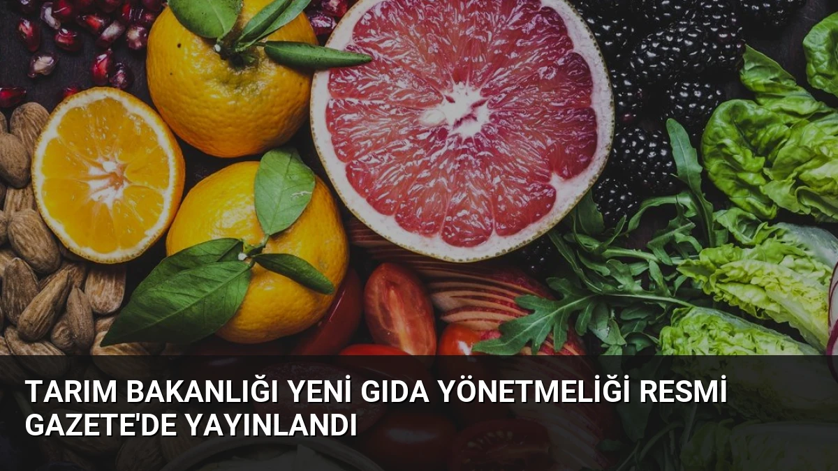 Tarım Bakanlığı Yeni Gıda Yönetmeliği Resmi Gazete’de Yayınlandı