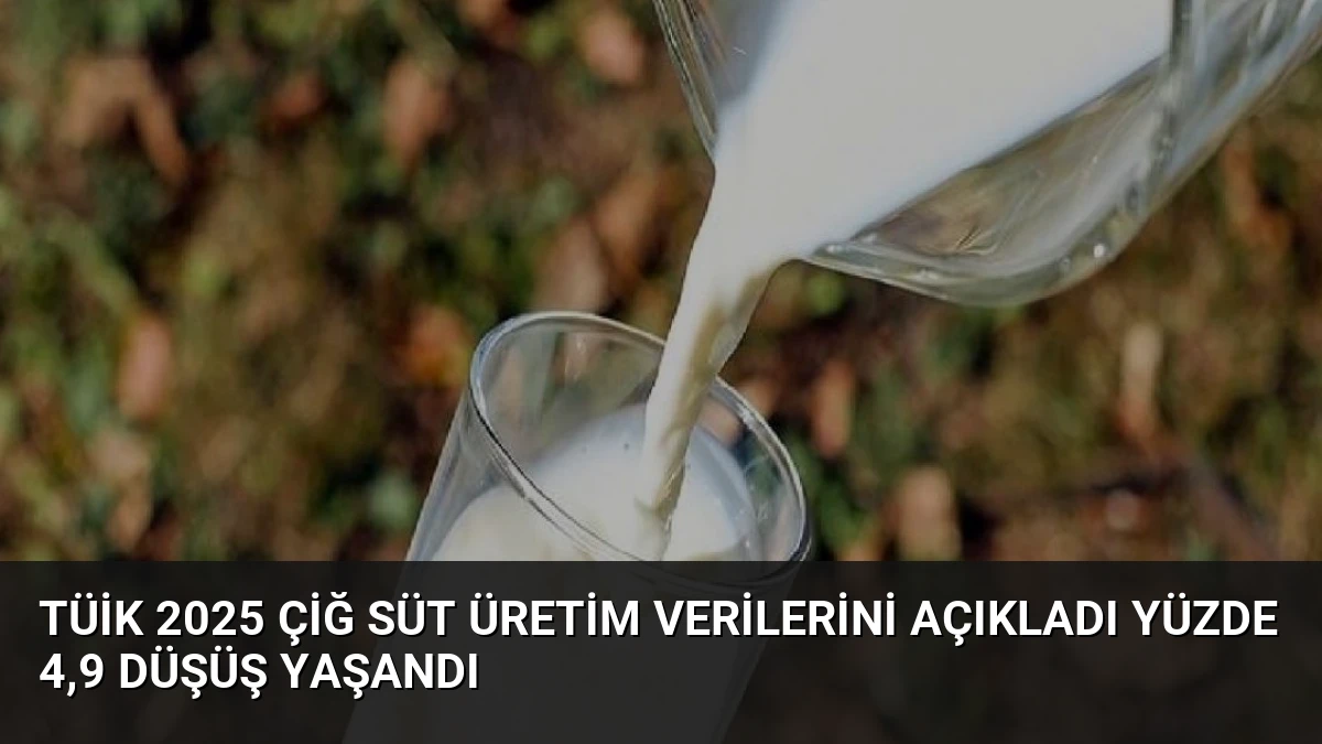 TÜİK 2025 Çiğ Süt Üretim Verilerini Açıkladı Yüzde 4,9 Düşüş Yaşandı