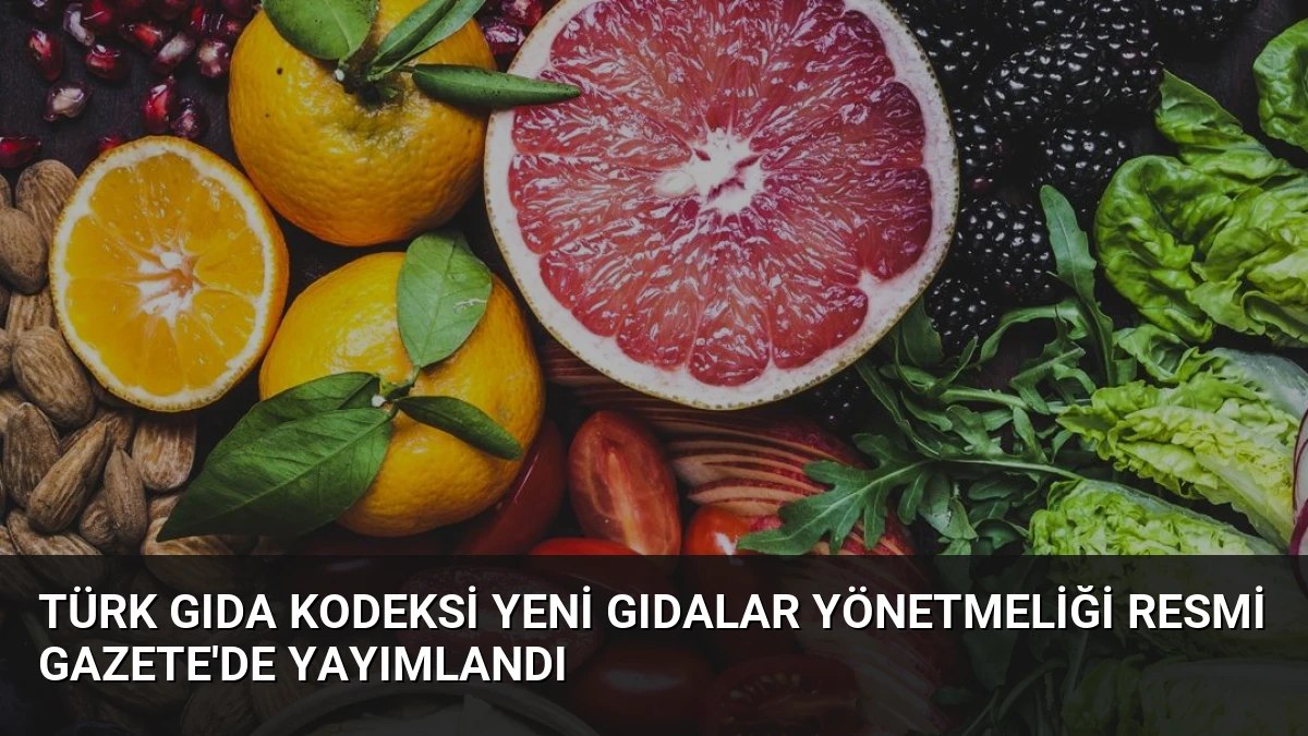 Türk Gıda Kodeksi Yeni Gıdalar Yönetmeliği Resmi Gazete’de Yayımlandı