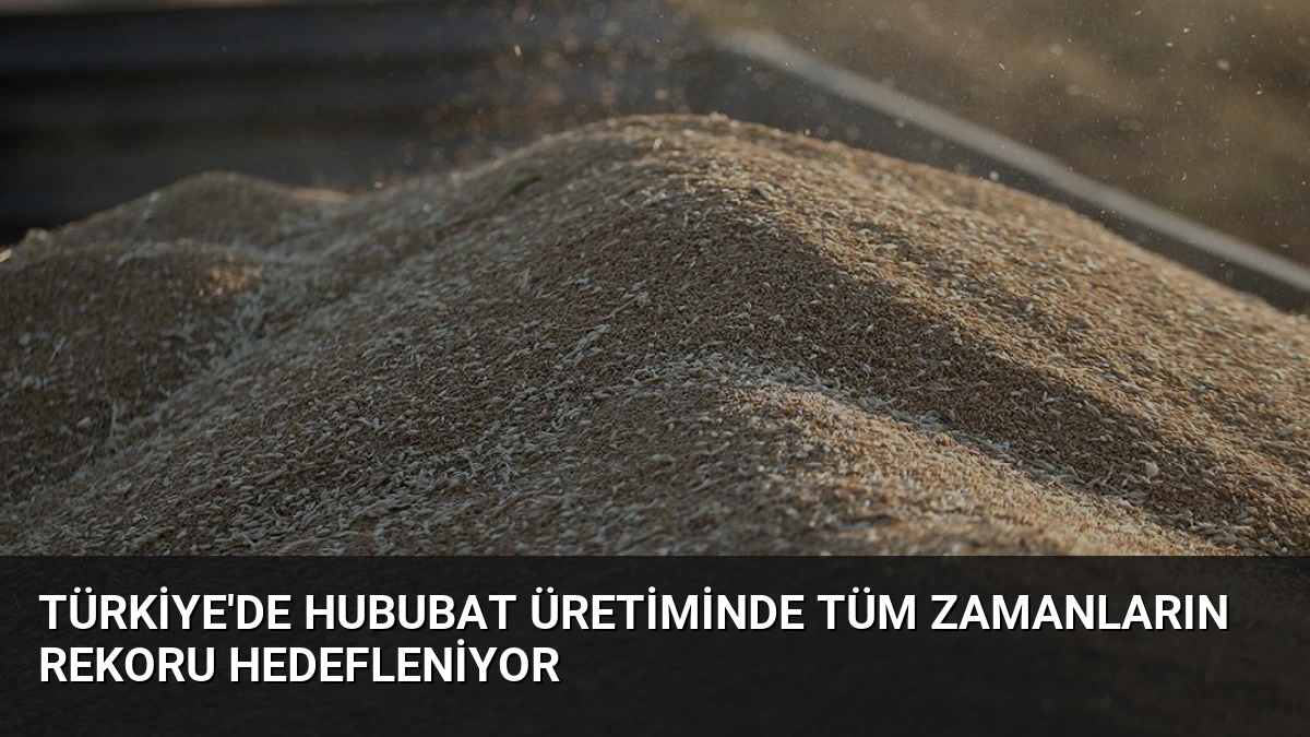 Türkiye’de Hububat Üretiminde Tüm Zamanların Rekoru Hedefleniyor