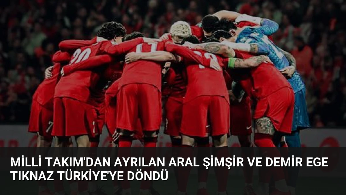 Milli Takım’dan Ayrılan Aral Şimşir ve Demir Ege Tıknaz Türkiye’ye Döndü