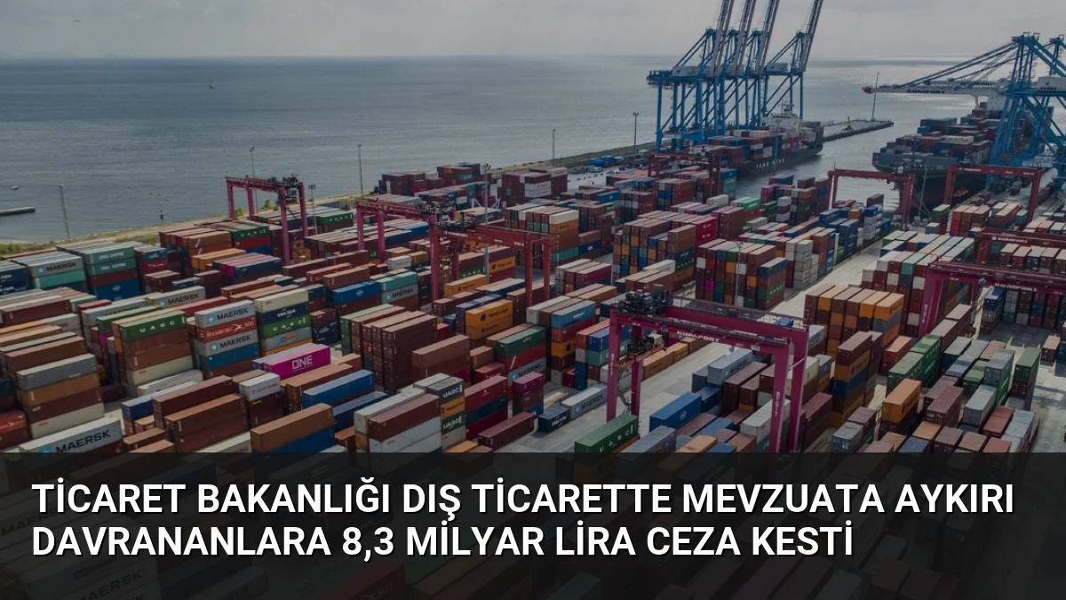 Ticaret Bakanlığı Dış Ticarette Mevzuata Aykırı Davrananlara 8,3 Milyar Lira Ceza Kesti